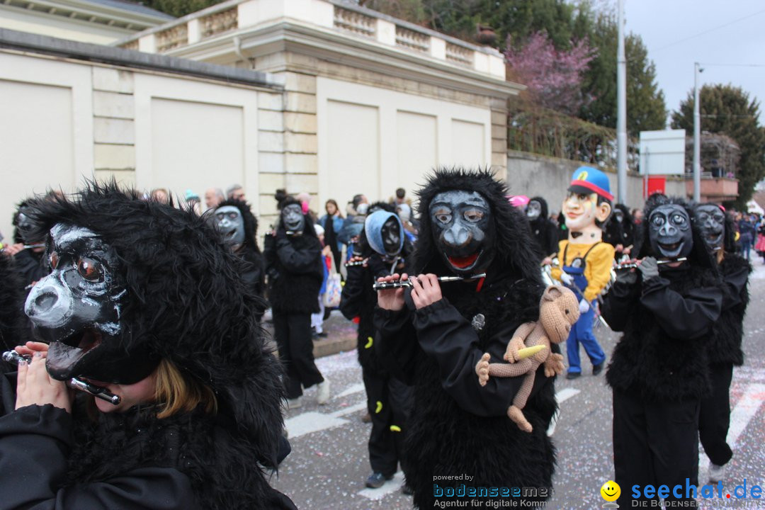 Cortege: Basel - Schweiz, 11.03.2019