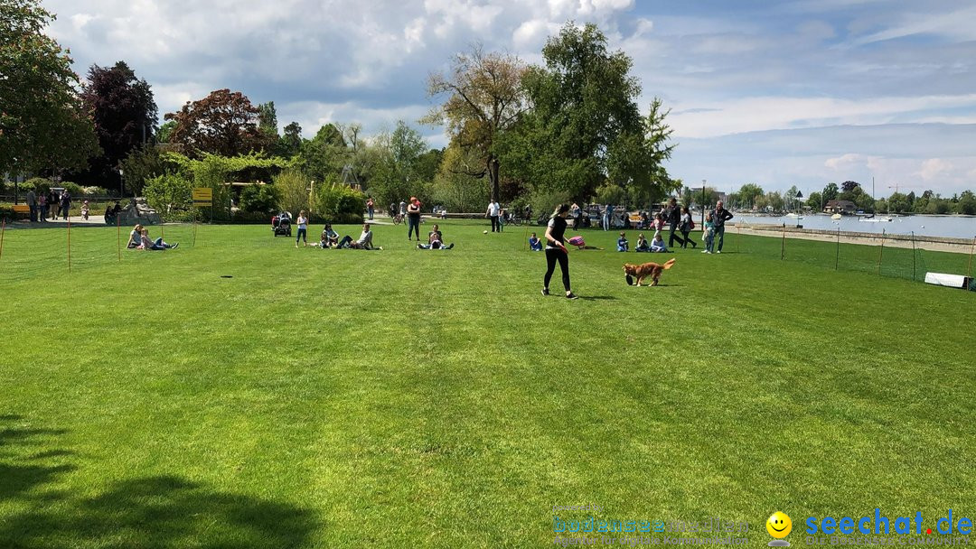 Hundeshow: Rorschach, 19.05.2019