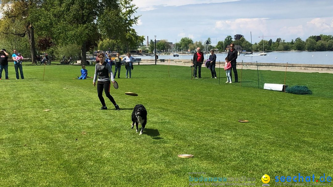 Hundeshow: Rorschach, 19.05.2019