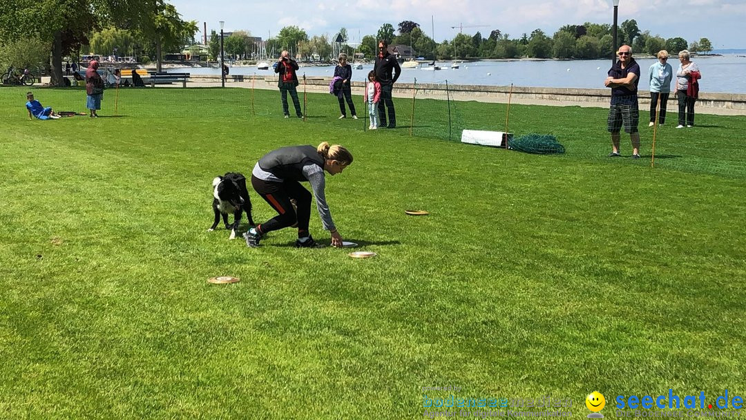 Hundeshow: Rorschach, 19.05.2019
