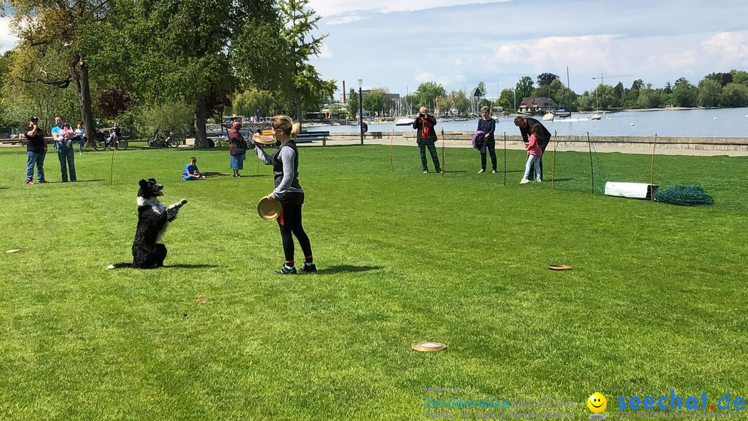 Hundeshow: Rorschach, 19.05.2019