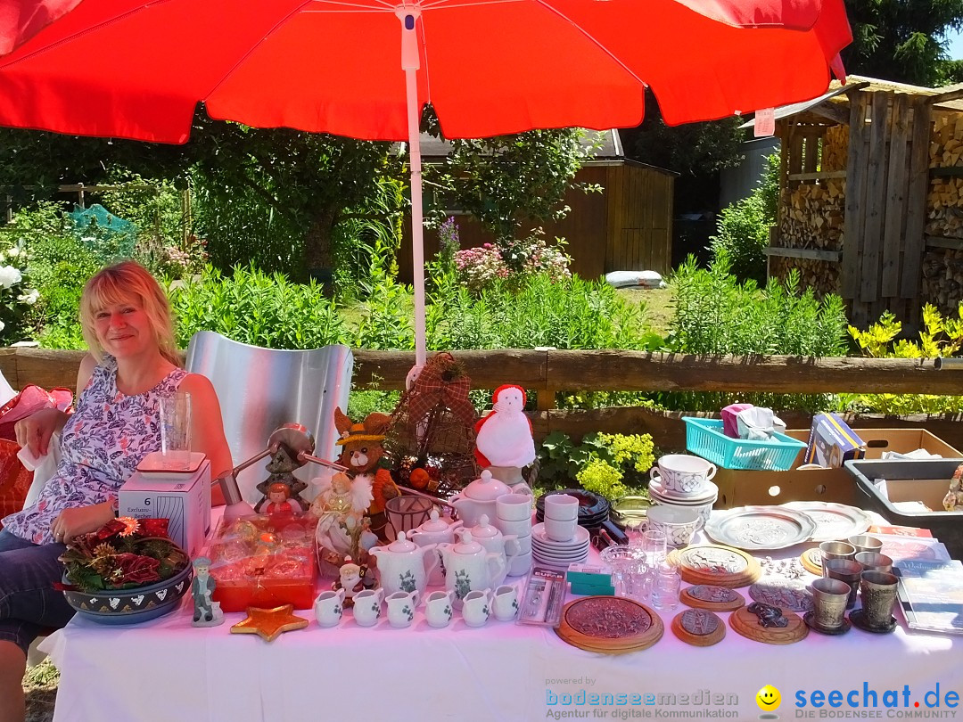 Flohmarkt und Schlossfuerhung: Zwiefaltendorf, 29.06.2019