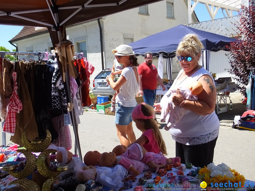 Flohmarkt und Schlossfuerhung: Zwiefaltendorf, 29.06.2019