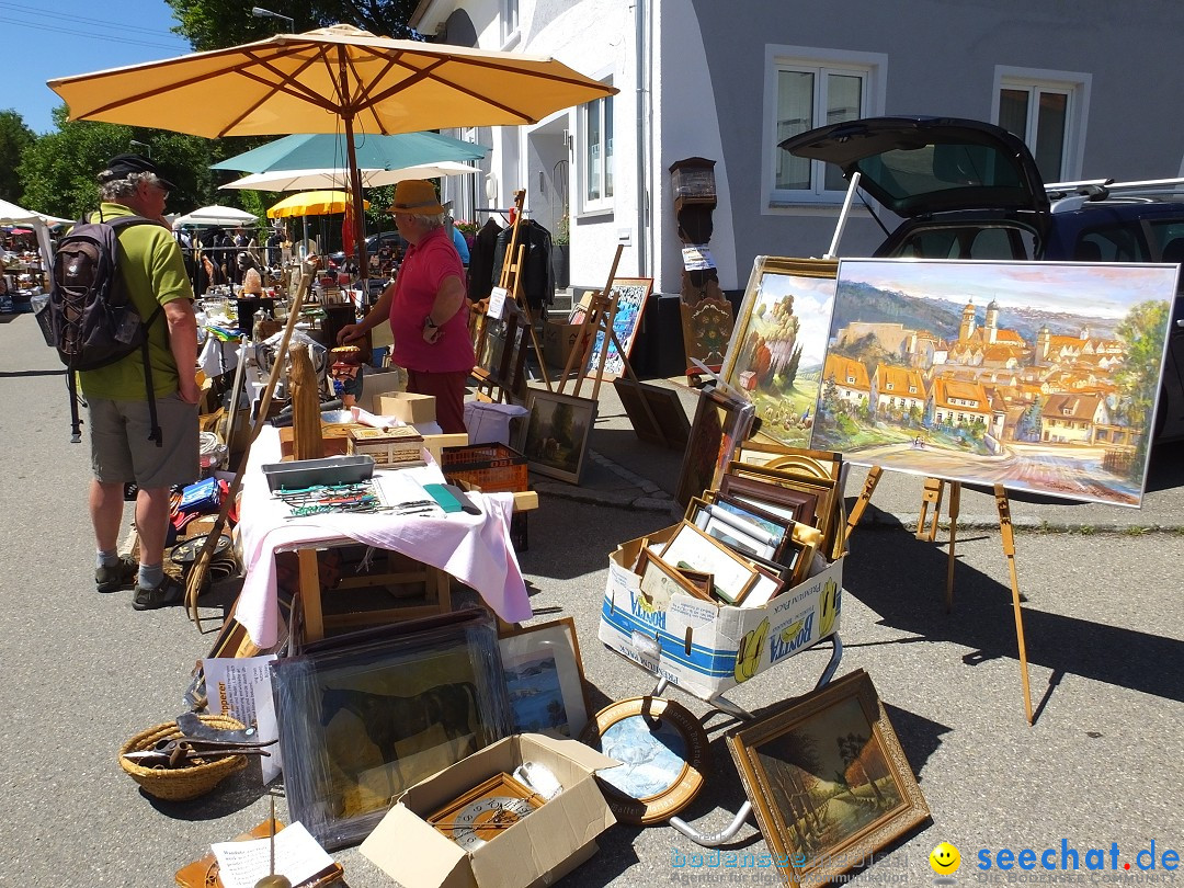 Flohmarkt und Schlossfuerhung: Zwiefaltendorf, 29.06.2019