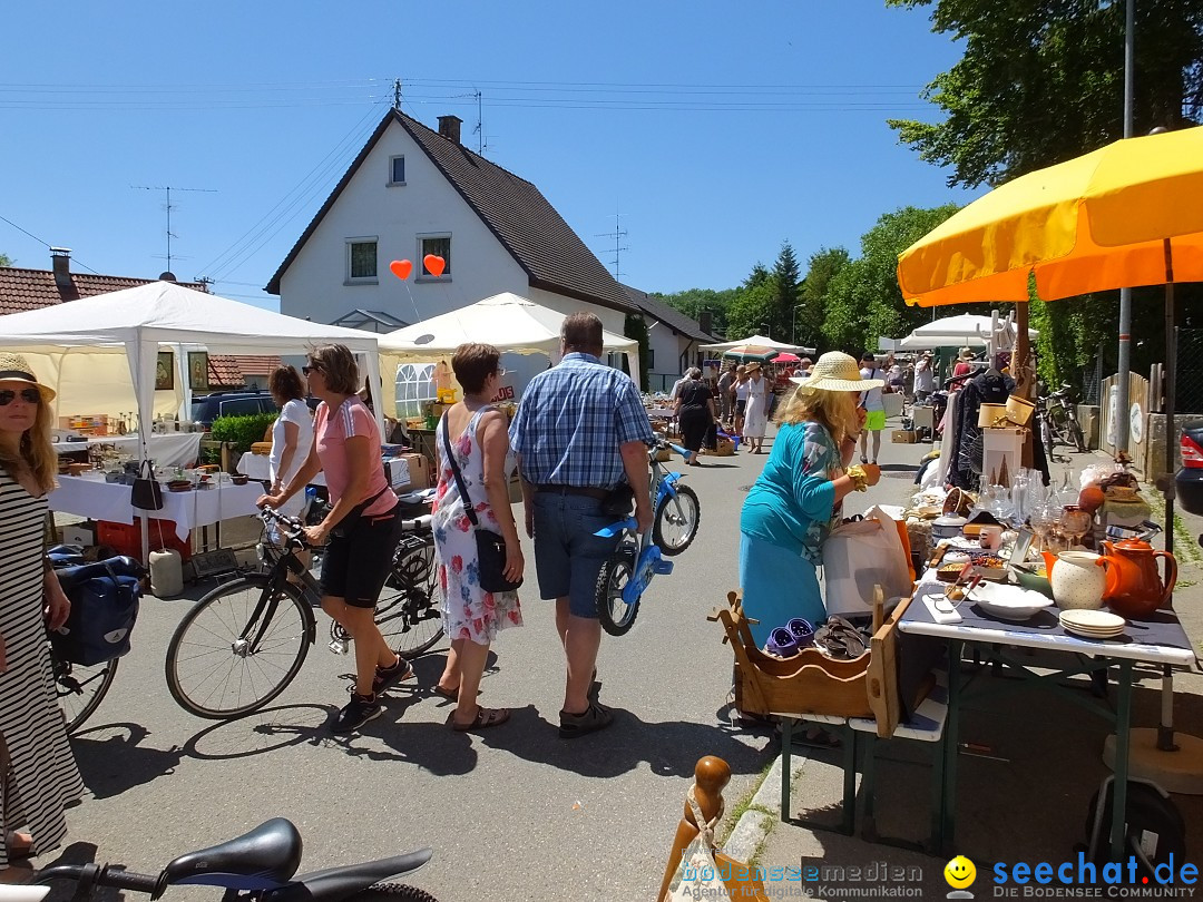 Flohmarkt und Schlossfuerhung: Zwiefaltendorf, 29.06.2019
