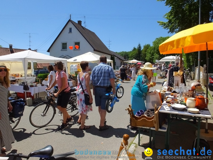 Flohmarkt und Schlossfuerhung: Zwiefaltendorf, 29.06.2019