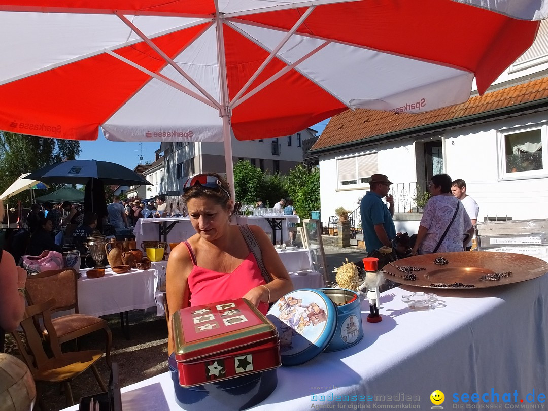 Flohmarkt und Schlossfuerhung: Zwiefaltendorf, 29.06.2019