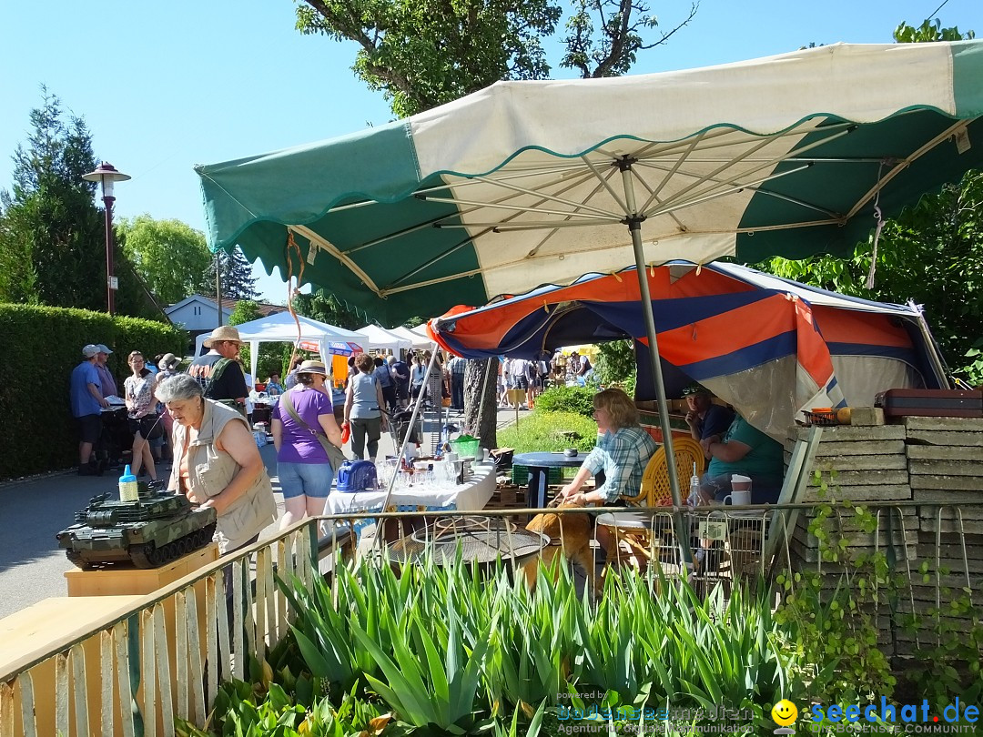 Flohmarkt und Schlossfuerhung: Zwiefaltendorf, 29.06.2019