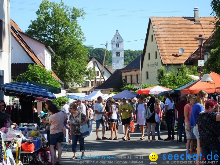 Flohmarkt und Schlossfuerhung: Zwiefaltendorf, 29.06.2019