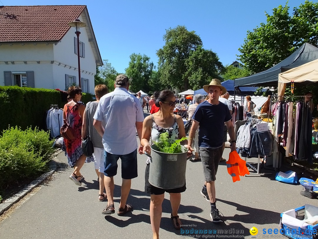 Flohmarkt und Schlossfuerhung: Zwiefaltendorf, 29.06.2019
