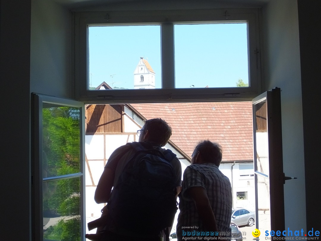 Flohmarkt und Schlossfuerhung: Zwiefaltendorf, 29.06.2019
