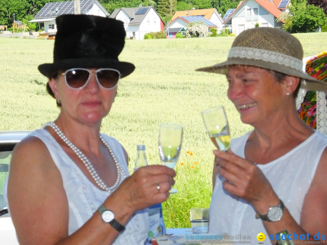 Flohmarkt und Schlossfuerhung: Zwiefaltendorf, 29.06.2019