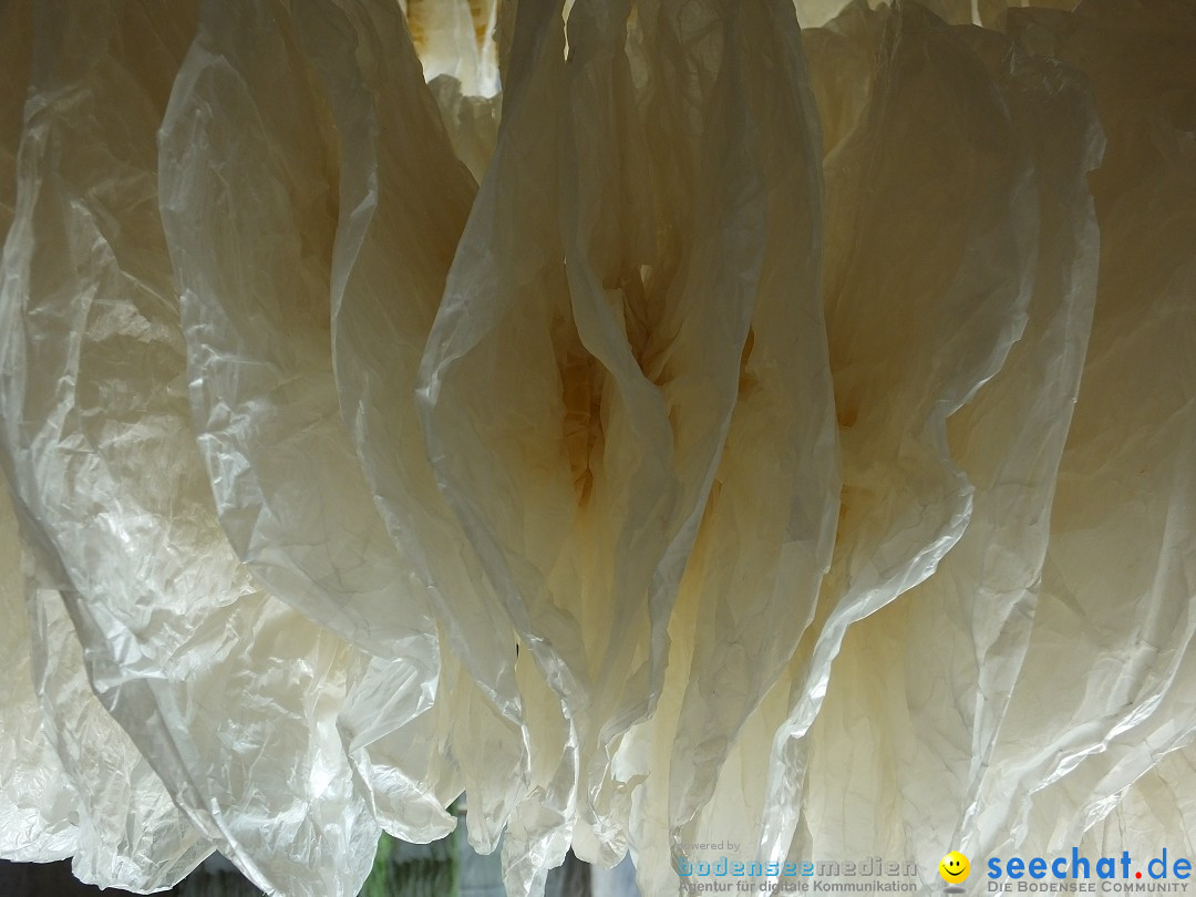 Vernissage - Natur Resonanzen - pro arte: Biberach, 11.07.0219