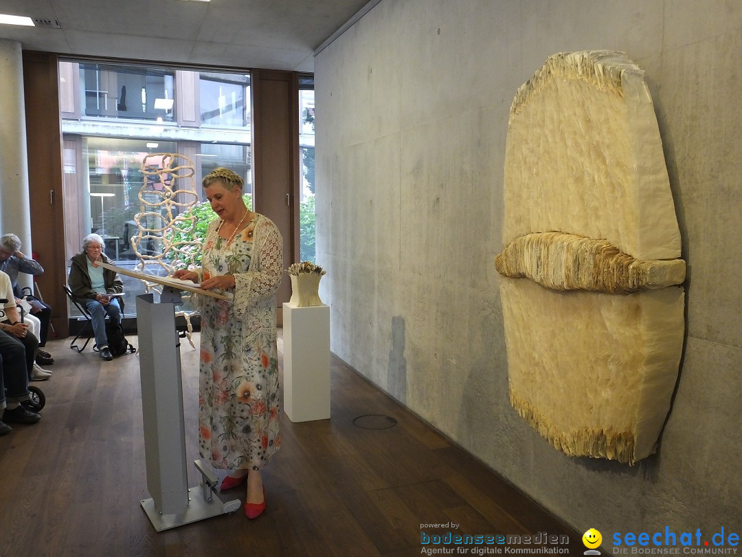 Vernissage - Natur Resonanzen - pro arte: Biberach, 11.07.0219