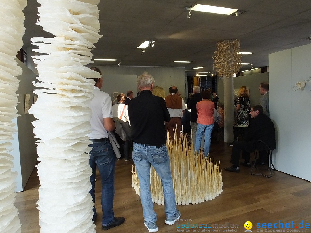 Vernissage - Natur Resonanzen - pro arte: Biberach, 11.07.0219