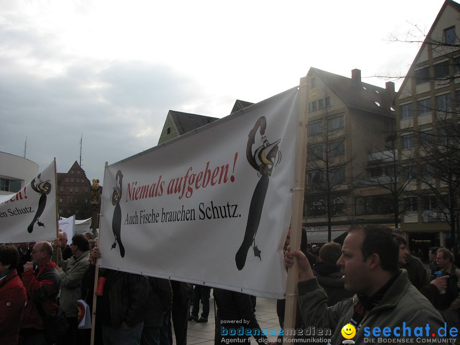 Kormoran-Demo-Muensterplatz-Ulm-200310-Die-Bodensee-Community-seechat_de-IMG_0301.JPG