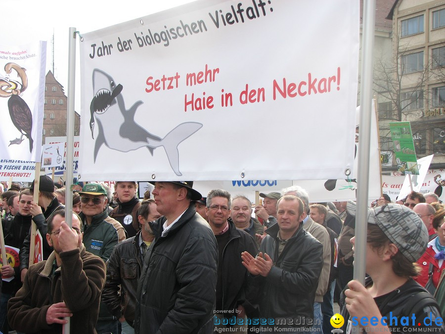 Kormoran-Demo-Muensterplatz-Ulm-200310-Die-Bodensee-Community-seechat_de-IMG_0305.JPG