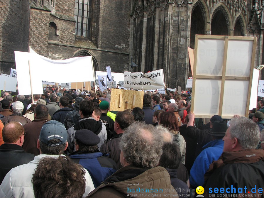 Kormoran-Demo-Muensterplatz-Ulm-200310-Die-Bodensee-Community-seechat_de-IMG_0308.JPG