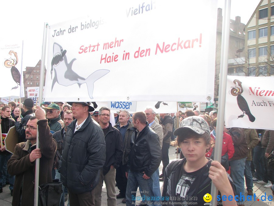 Kormoran-Demo-Muensterplatz-Ulm-200310-Die-Bodensee-Community-seechat_de-IMG_0316.JPG