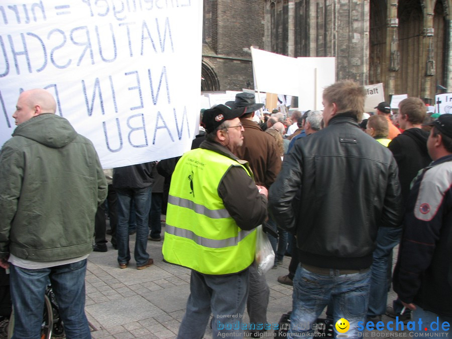 Kormoran-Demo-Muensterplatz-Ulm-200310-Die-Bodensee-Community-seechat_de-IMG_0320.JPG