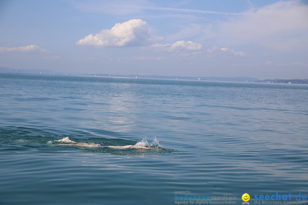 BODENSEEBOOT - Bodenseequerung: Patrick Loechle: Friedrichshafen, 01.08.201