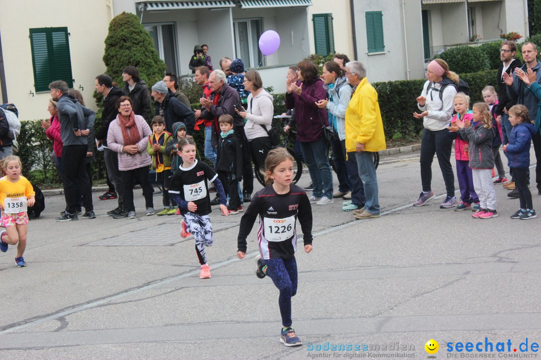 12. Bremgartenlauf - Lauf und Walking Event: Bremgarten - Bern, 20.10.2019