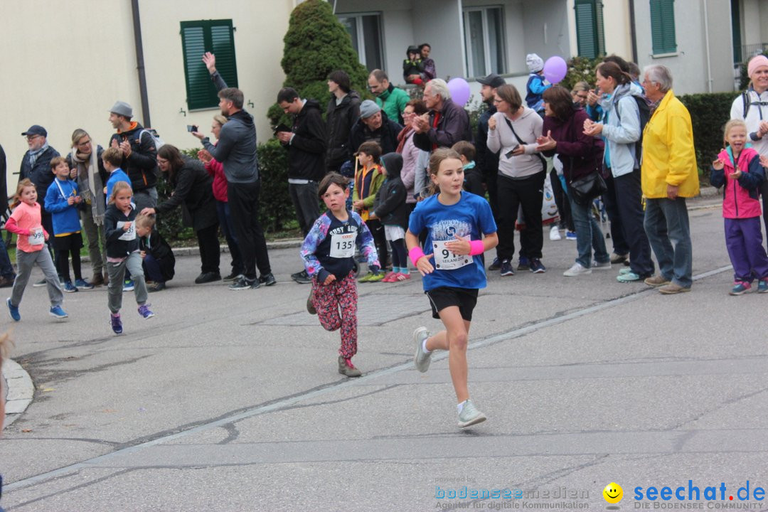 12. Bremgartenlauf - Lauf und Walking Event: Bremgarten - Bern, 20.10.2019
