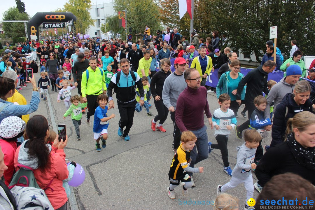12. Bremgartenlauf - Lauf und Walking Event: Bremgarten - Bern, 20.10.2019