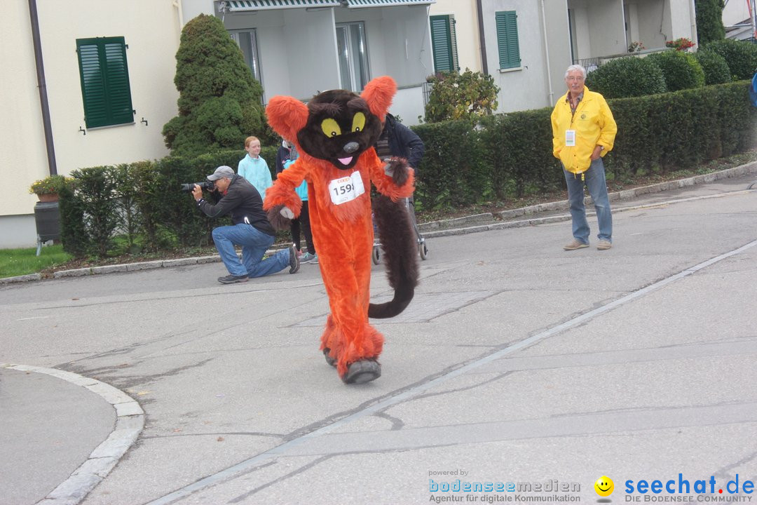 12. Bremgartenlauf - Lauf und Walking Event: Bremgarten - Bern, 20.10.2019