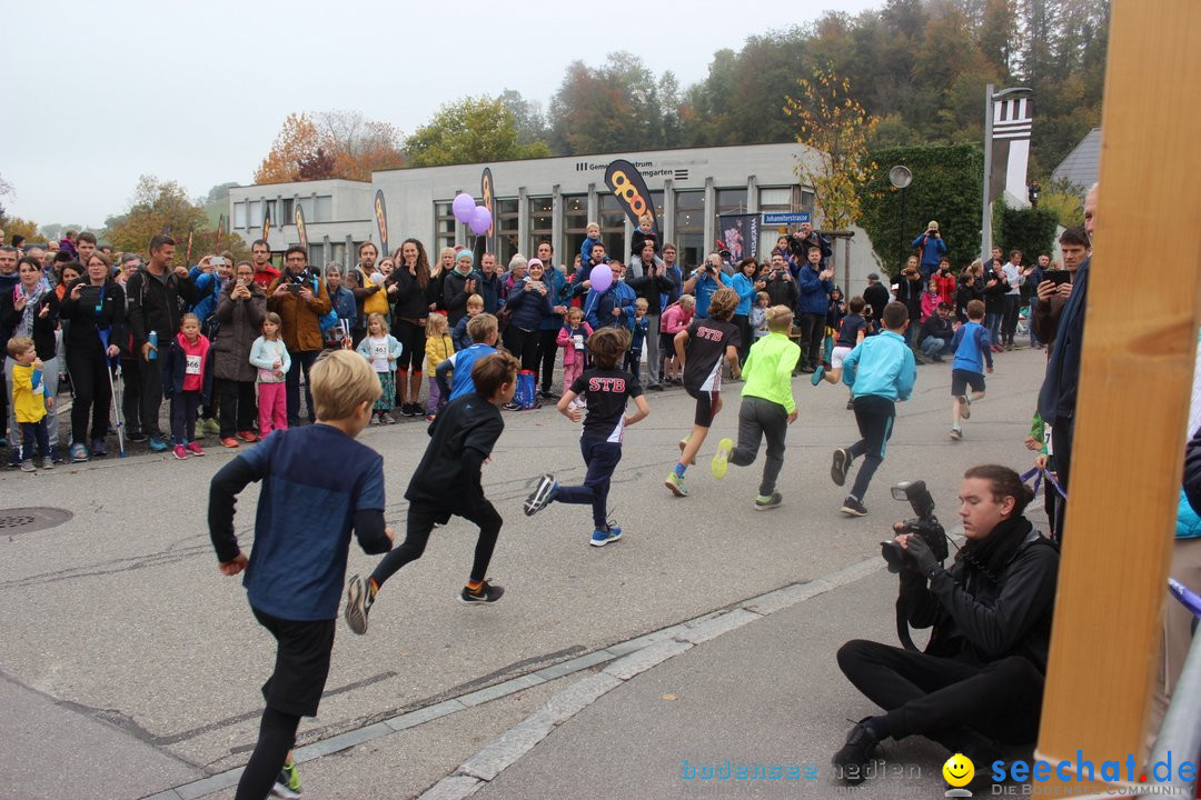 12. Bremgartenlauf - Lauf und Walking Event: Bremgarten - Bern, 20.10.2019