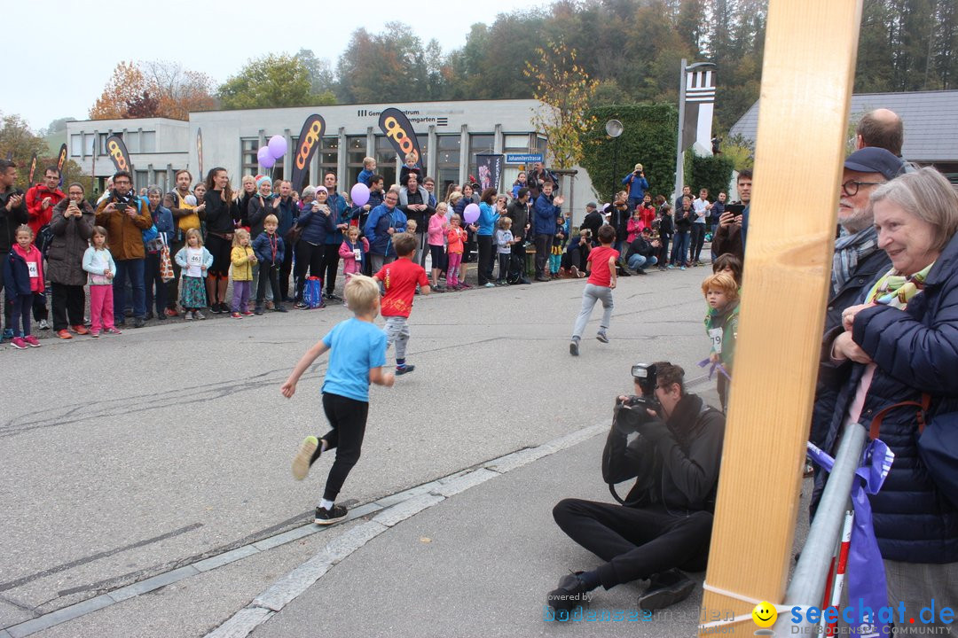 12. Bremgartenlauf - Lauf und Walking Event: Bremgarten - Bern, 20.10.2019