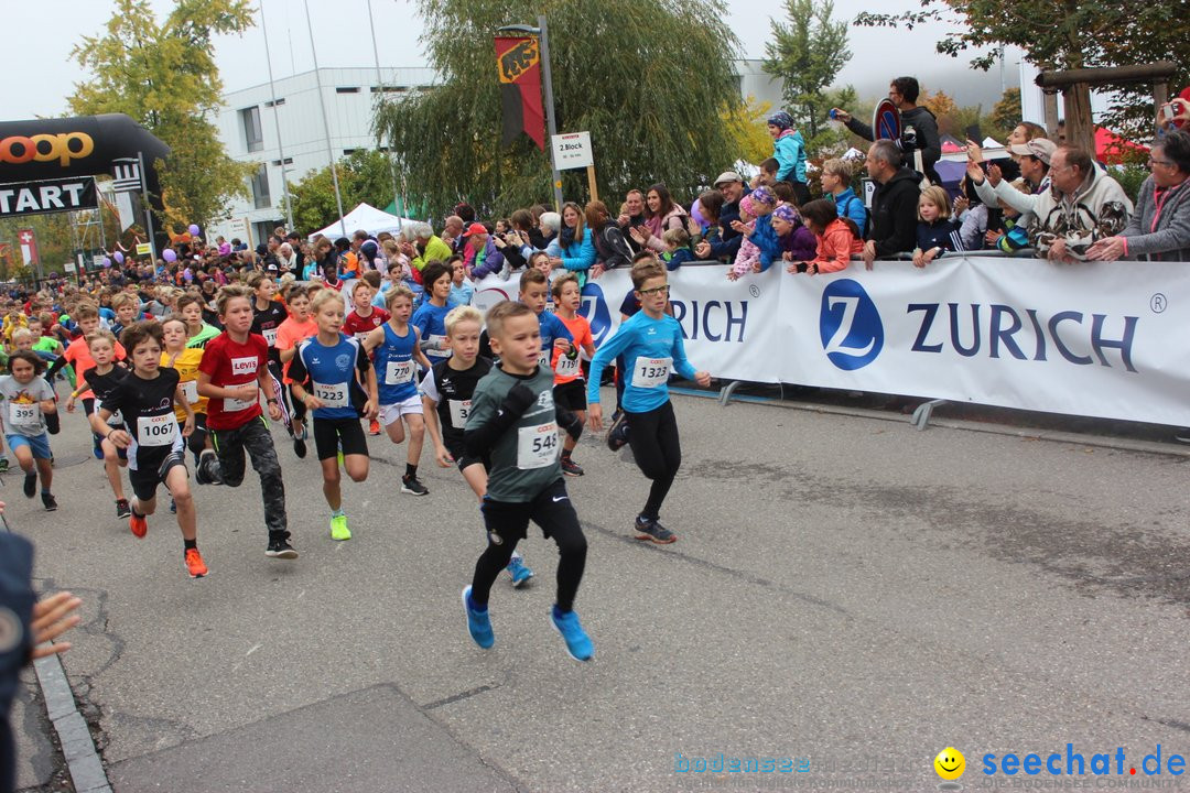 12. Bremgartenlauf - Lauf und Walking Event: Bremgarten - Bern, 20.10.2019