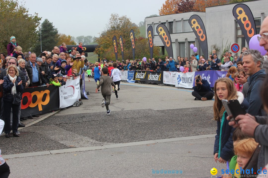 12. Bremgartenlauf - Lauf und Walking Event: Bremgarten - Bern, 20.10.2019