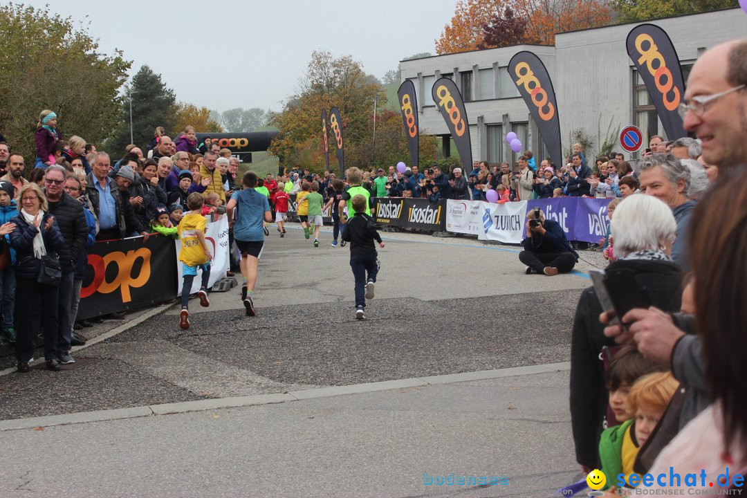 12. Bremgartenlauf - Lauf und Walking Event: Bremgarten - Bern, 20.10.2019