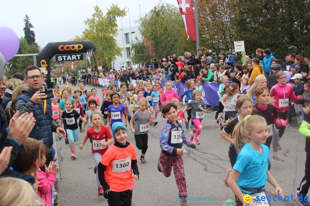 12. Bremgartenlauf - Lauf und Walking Event: Bremgarten - Bern, 20.10.2019