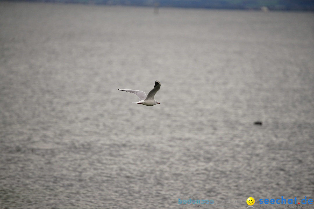 WunderWelten - Foto-Festival am Bodensee: Friedrichshafen, 03.11.2019