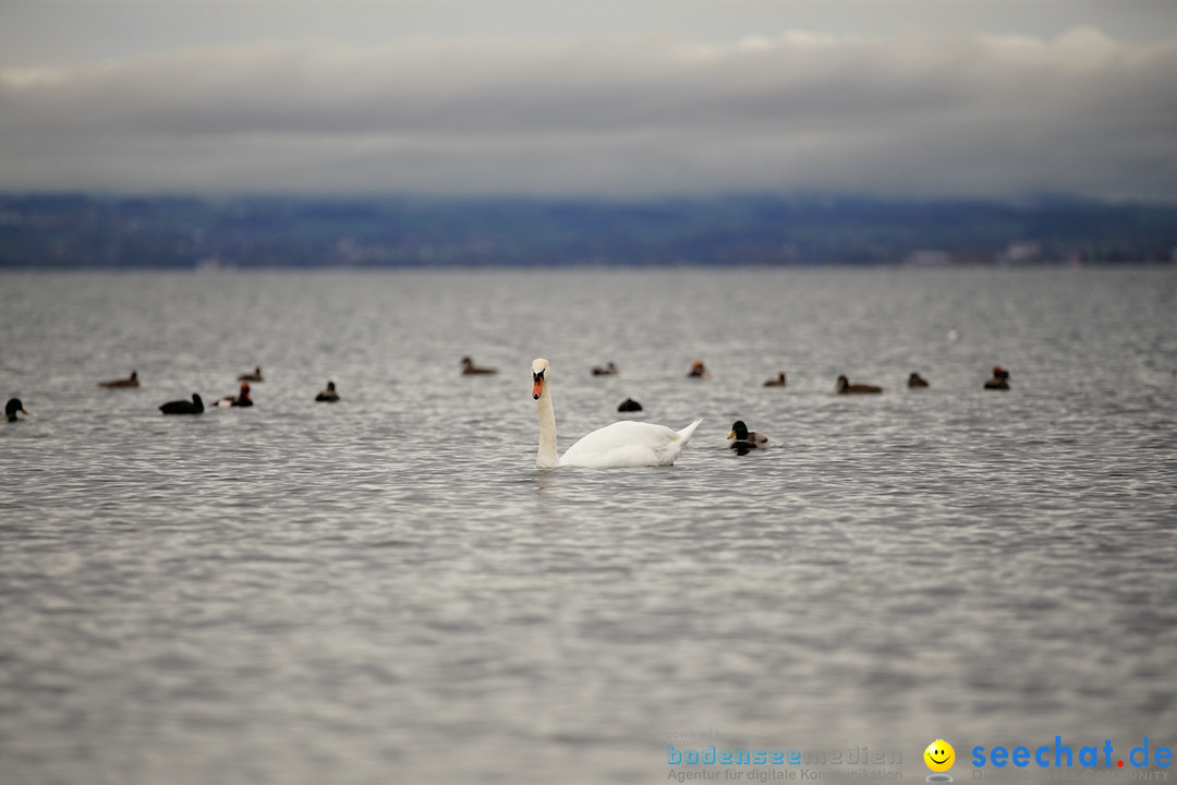WunderWelten - Foto-Festival am Bodensee: Friedrichshafen, 03.11.2019