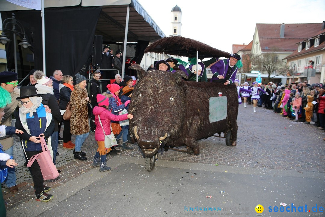 Grosser Narrensprung: Langenargen am Bodensee, 19.01.2020