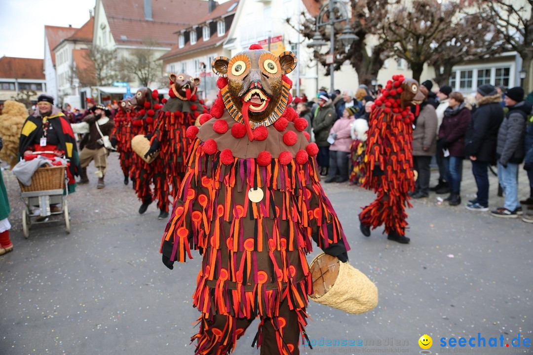 Grosser Narrensprung: Langenargen am Bodensee, 19.01.2020