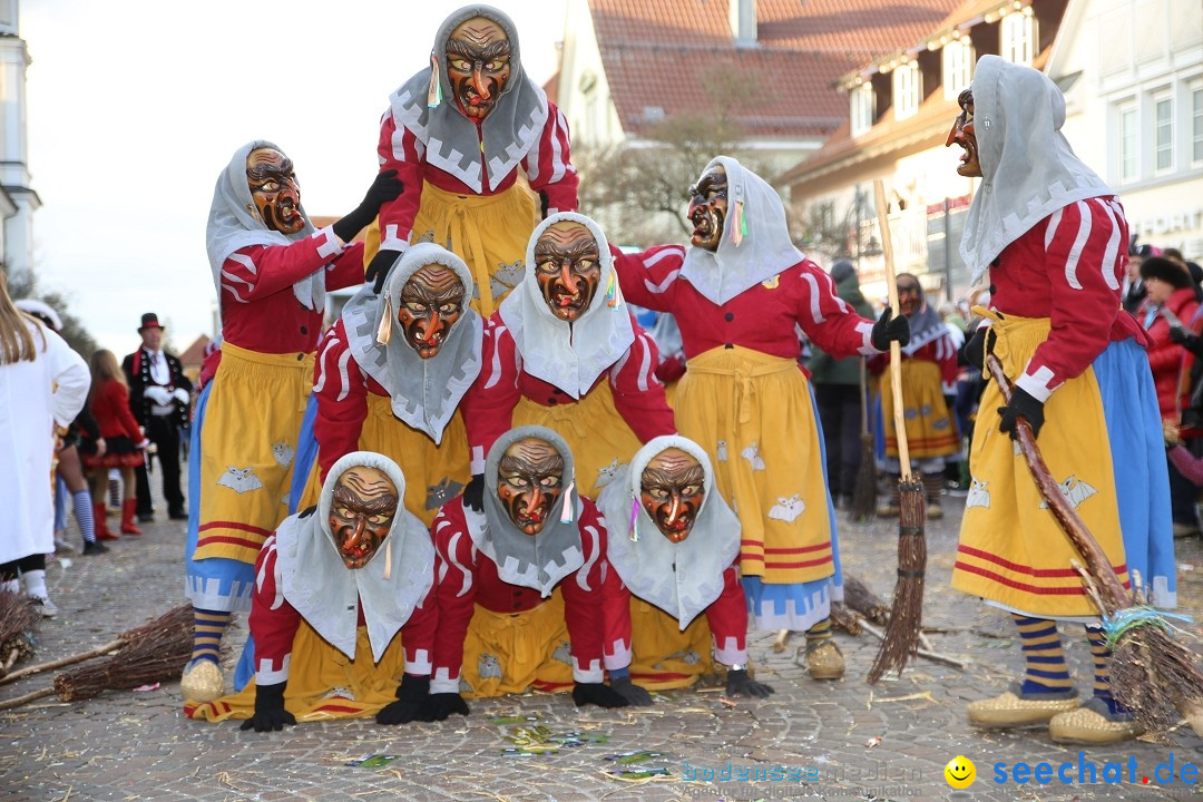 Grosser Narrensprung: Langenargen am Bodensee, 19.01.2020