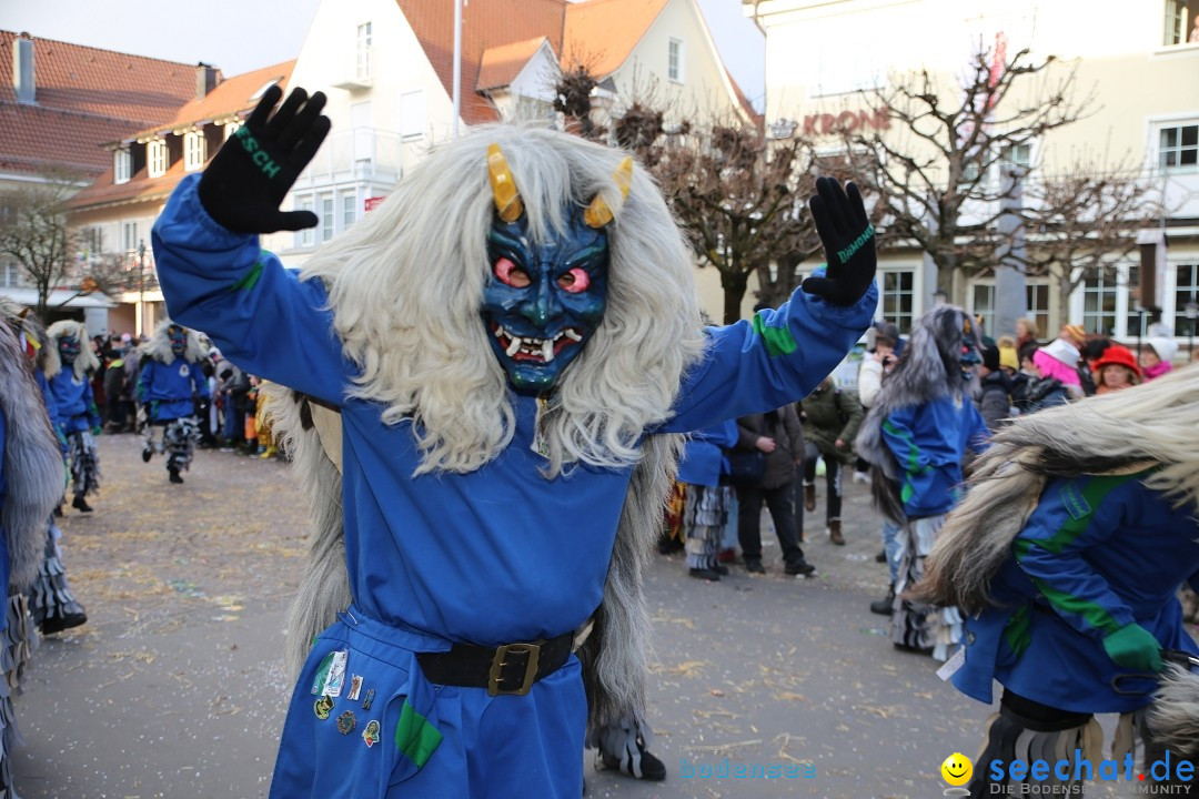 Grosser Narrensprung: Langenargen am Bodensee, 19.01.2020