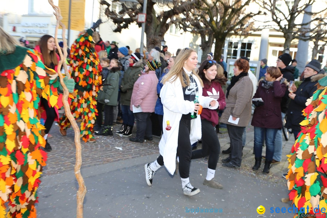 Grosser Narrensprung: Langenargen am Bodensee, 19.01.2020
