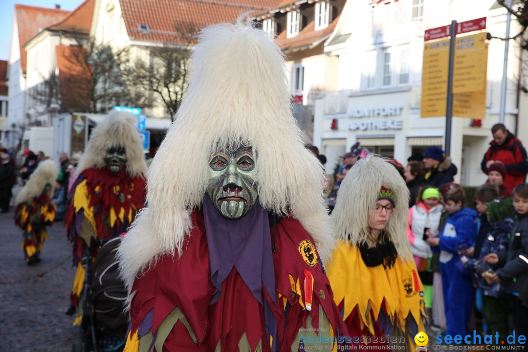 Grosser Narrensprung: Langenargen am Bodensee, 19.01.2020