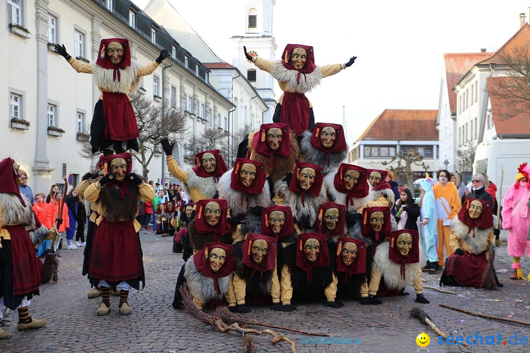 Grosser Narrensprung: Langenargen am Bodensee, 19.01.2020