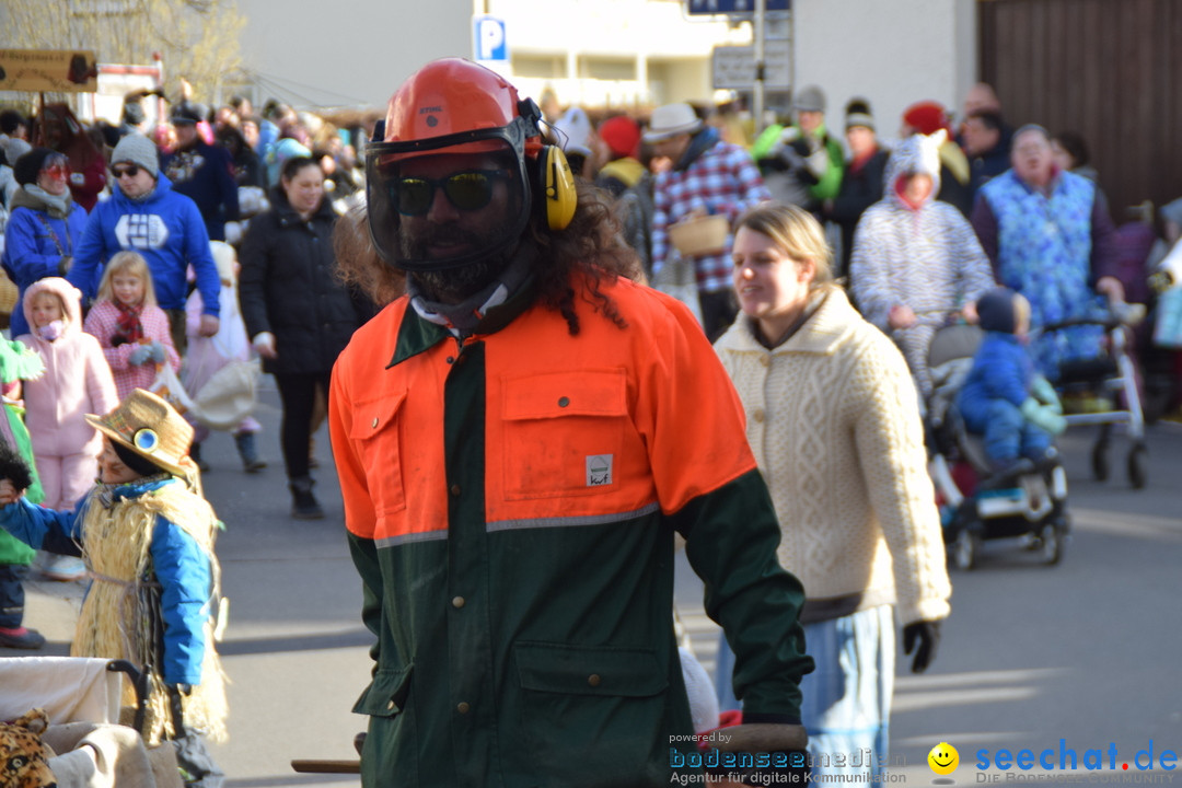 Grosser Narrensprung: Langenargen am Bodensee, 19.01.2020