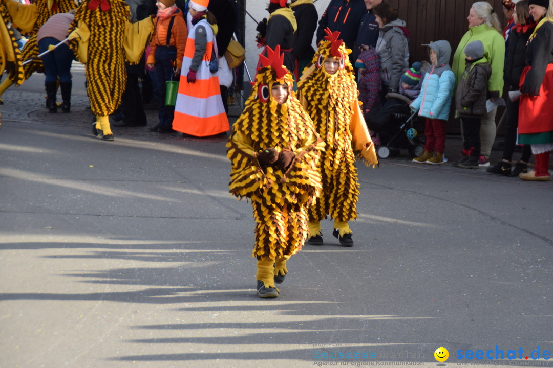 Grosser Narrensprung: Langenargen am Bodensee, 19.01.2020