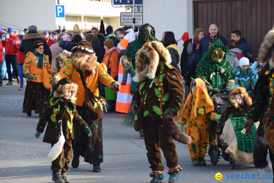 Grosser Narrensprung: Langenargen am Bodensee, 19.01.2020