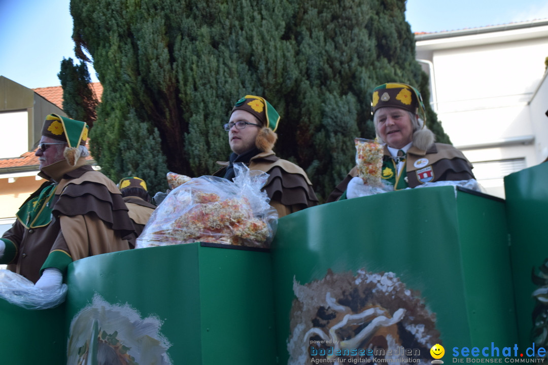 Grosser Narrensprung: Langenargen am Bodensee, 19.01.2020