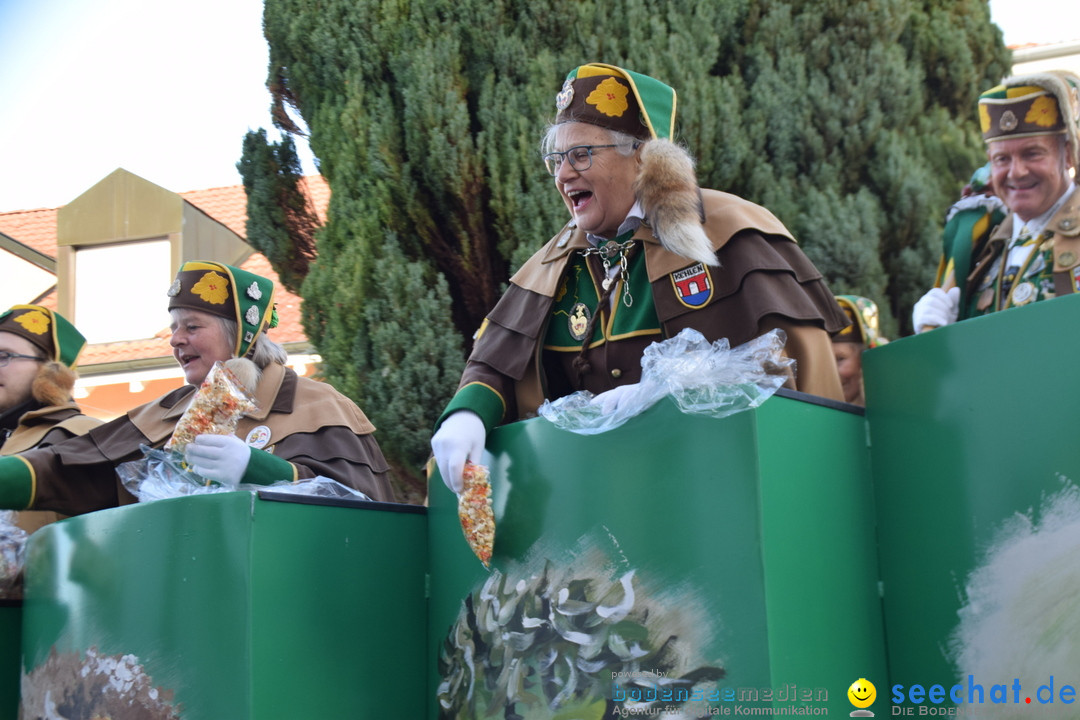 Grosser Narrensprung: Langenargen am Bodensee, 19.01.2020