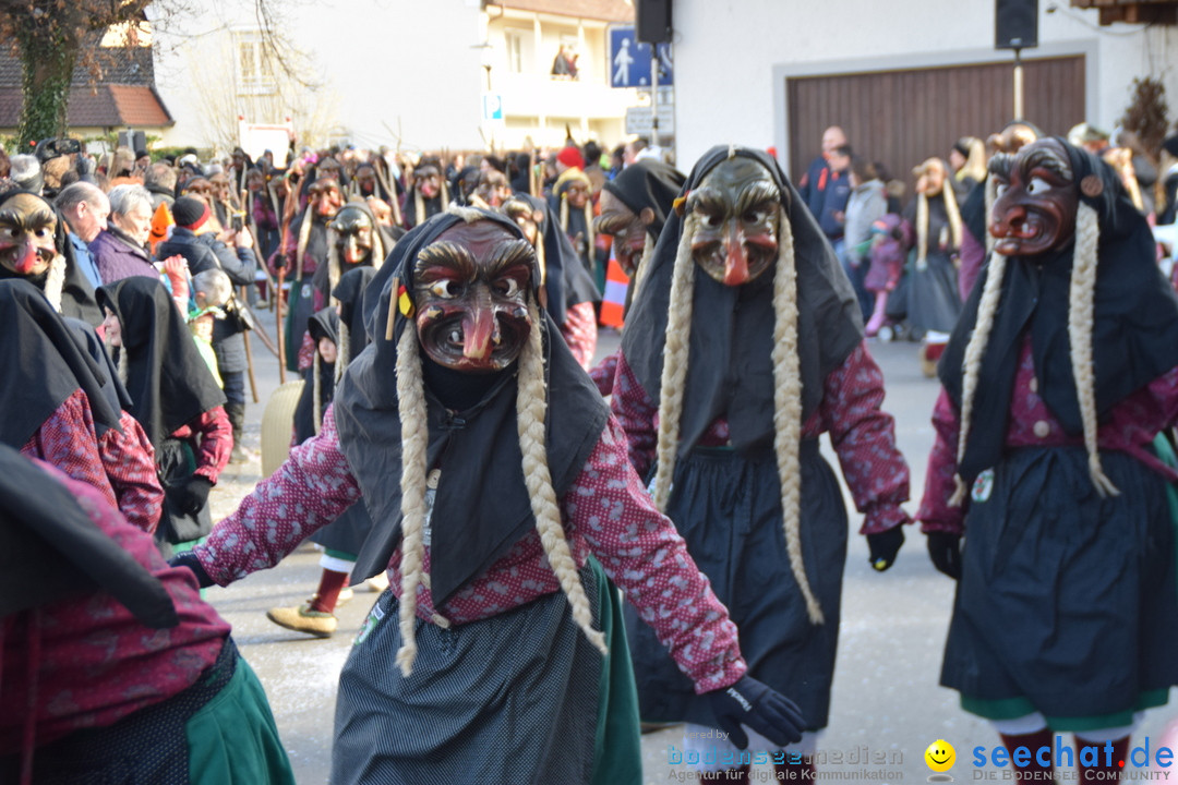 Grosser Narrensprung: Langenargen am Bodensee, 19.01.2020